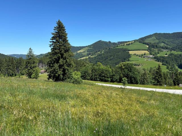 Immobilie kaufen in Steinbach am Ziehberg, Oberösterreich