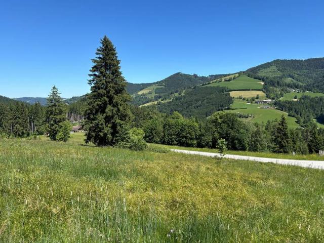 Grundstück kaufen in Kirchdorf, Pernegg an der Mur