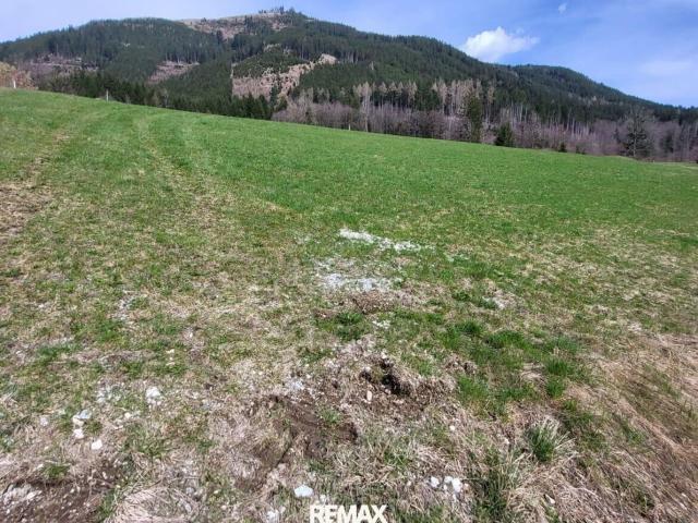 Grundstück kaufen in Ardning, Steiermark
