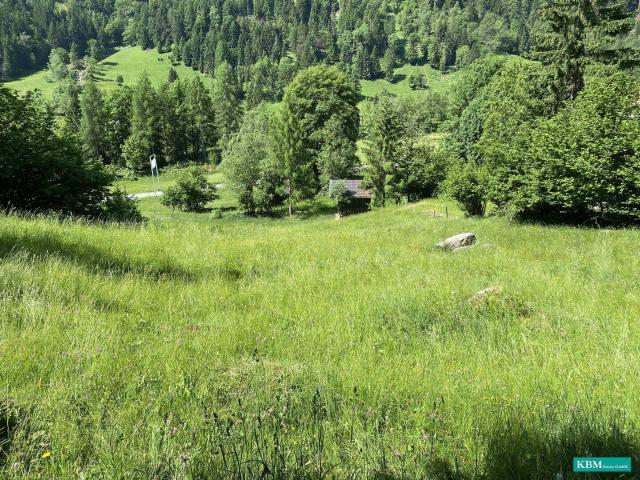 Immobilie kaufen in Flattach, Kärnten