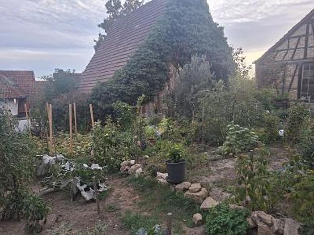 Landwirtschaft kaufen in Oßweil, Ludwigsburg