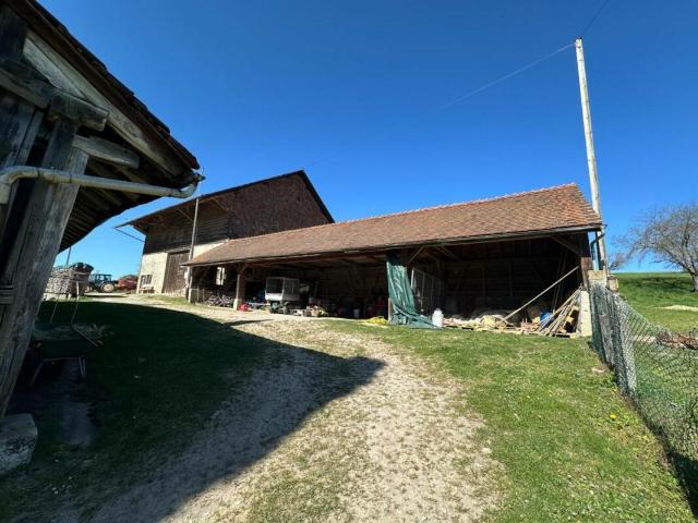 Immobilie kaufen in Bercher, Waadt