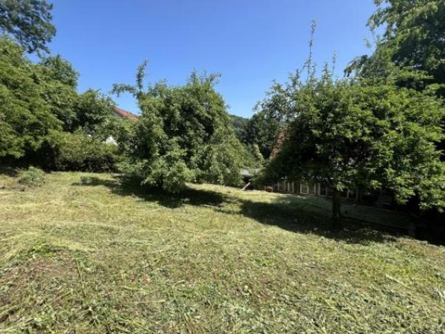 Erdgeschosswohnung kaufen in Hüttenbach, Simmelsdorf