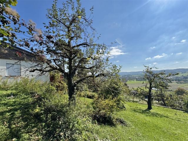 Einfamilienhaus kaufen in Thayngen, Schaffhausen