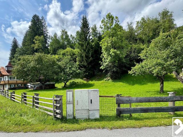 Immobilie kaufen in Neukirchen, Salzburg