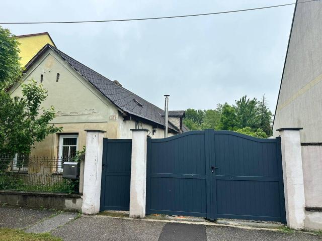 Haus kaufen in Edelstal