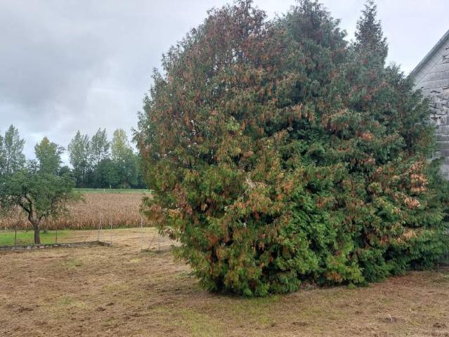 Grundstück mieten in Bezirk Wels-Land, Oberösterreich