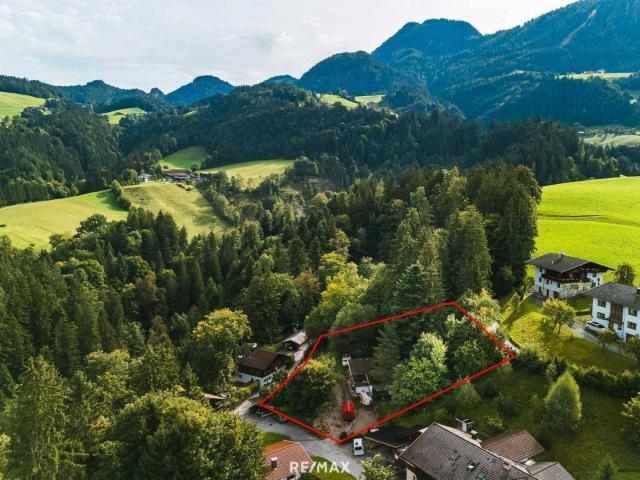 Immobilie kaufen in Reith im Alpbachtal, Tirol