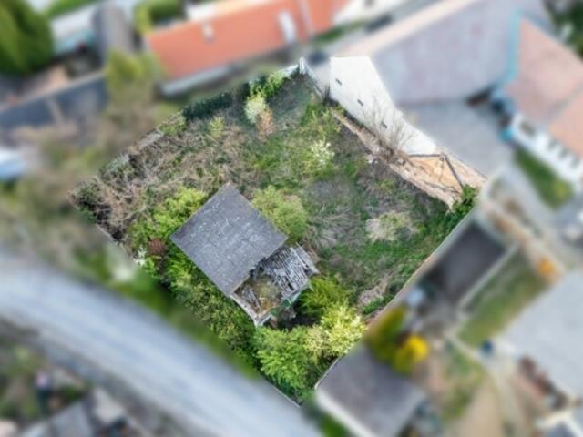 Grundstück kaufen in Altlichtenwarth, Bezirk Mistelbach