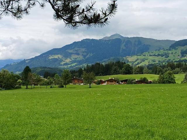 Immobilie kaufen in Aurach bei Kitzbühel, Tirol