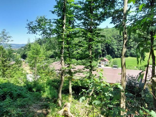 Grundstück kaufen in Hof bei Salzburg, Salzburg