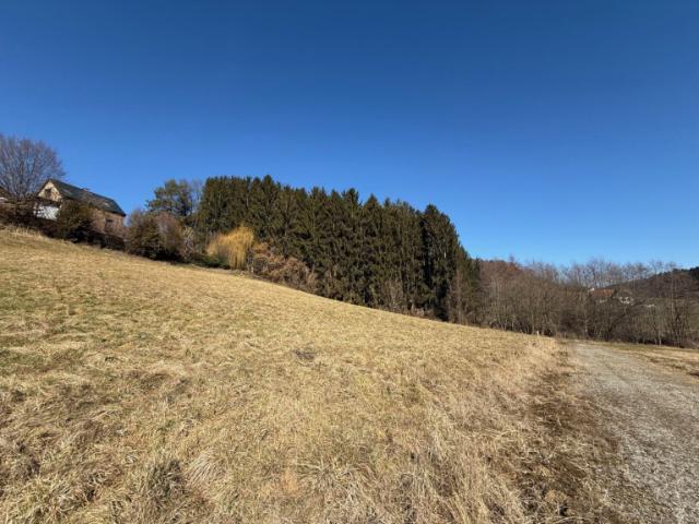 Grundstück kaufen in Edelsgrub, Steiermark
