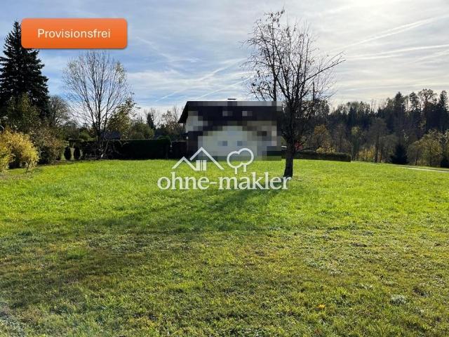 Immobilie kaufen in Oberndorf bei Salzburg, Salzburg