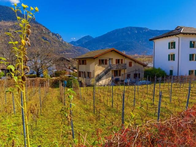 Haus kaufen in Sierre, Wallis