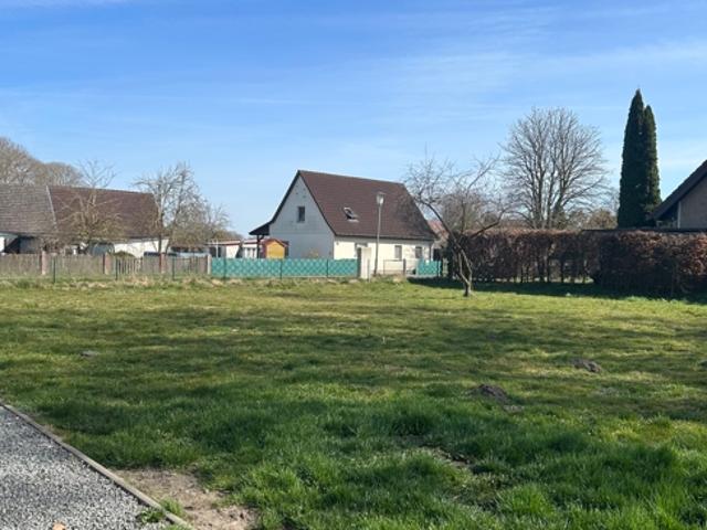 Landwirtschaft kaufen in Miltzow, Sundhagen