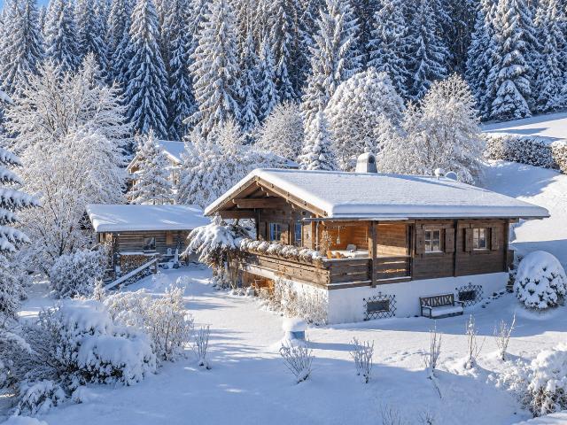 Immobilie kaufen in Ellmau, Tirol