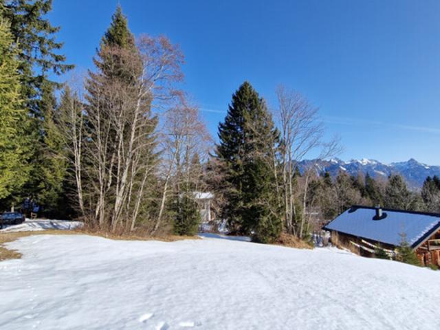 Grundstück kaufen in Bürserberg, Vorarlberg