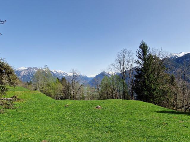Grundstück kaufen in Bürserberg, Vorarlberg
