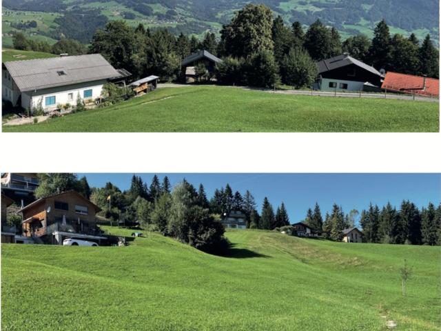 Grundstück kaufen in Egg, Vorarlberg