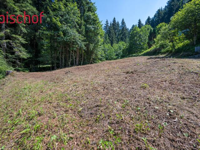 Grundstück kaufen in Schwarzenberg, Vorarlberg