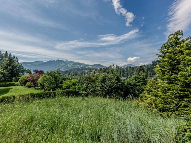 Immobilie kaufen in Aurach bei Kitzbühel, Tirol