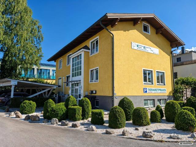 Haus kaufen in Aigen, Salzburg