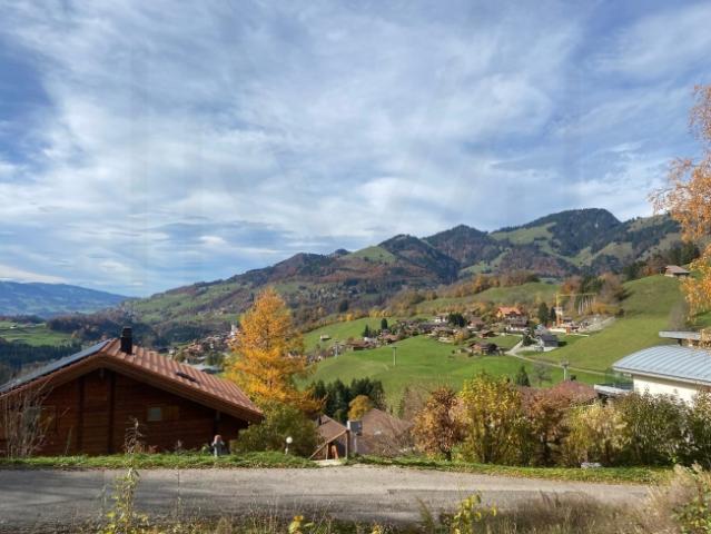 Grundstück kaufen in Val-de-Charmey, Freiburg