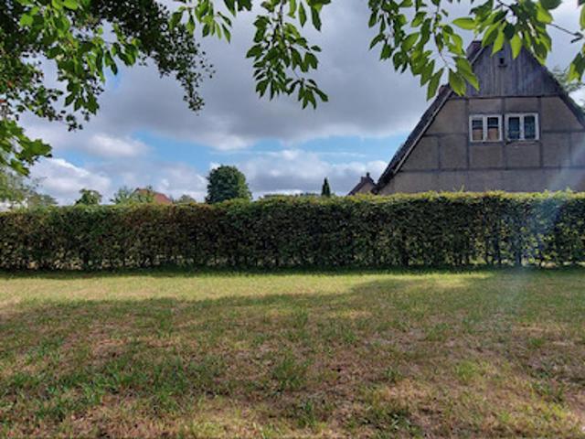 Landwirtschaft kaufen in Miltzow, Sundhagen