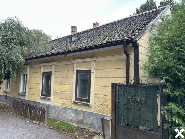 Haus kaufen in Langenzersdorf, Niederösterreich