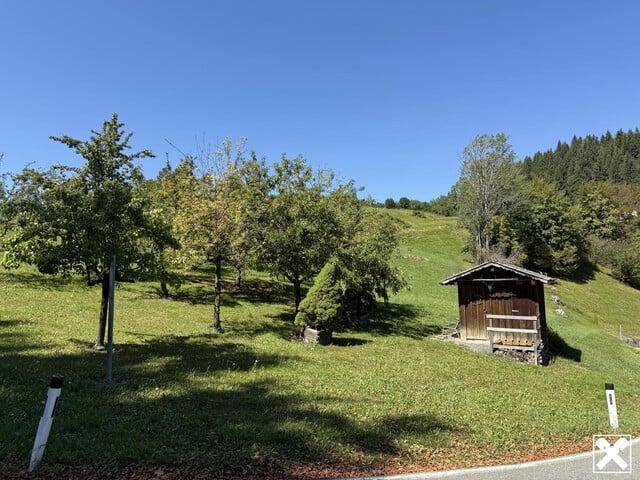 Grundstück kaufen in Schnepfau, Vorarlberg