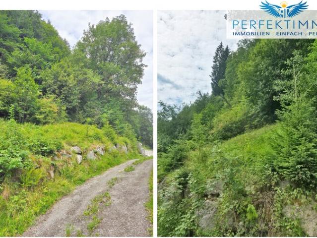 Immobilie kaufen in Aurach bei Kitzbühel, Tirol