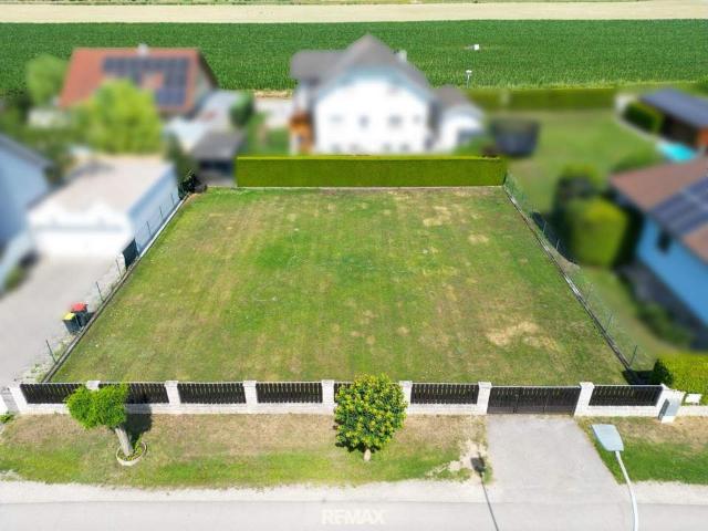 Grundstück kaufen in Gänserndorf, Niederösterreich