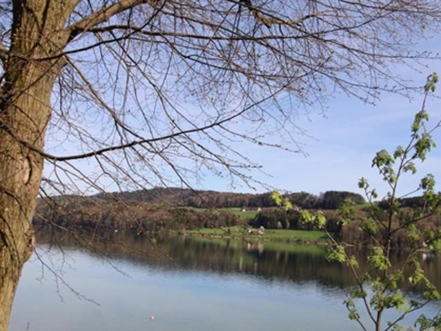 Grundstück kaufen in Mattsee, Salzburg