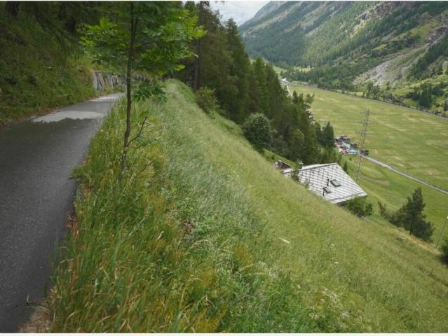 Grundstück kaufen in Täsch, Wallis