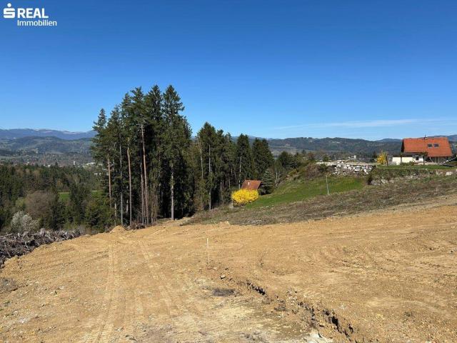 Immobilie kaufen in St. Martin am Wöllmißberg, Steiermark