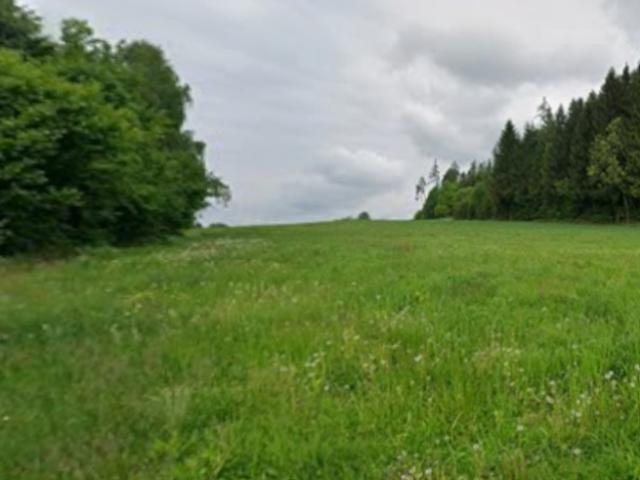 Grundstück kaufen in Spittal an der Drau, Kärnten