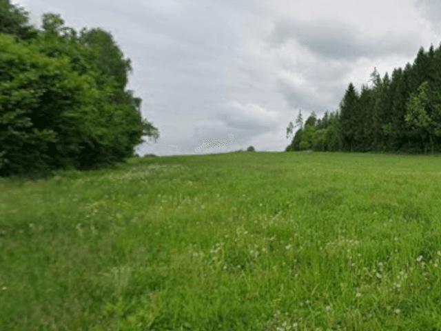 Immobilie kaufen in Ferndorf, Kärnten