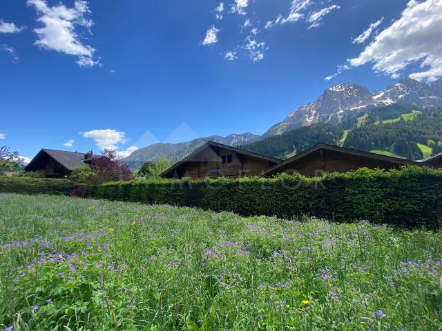 Immobilie kaufen in Rougemont, Waadt