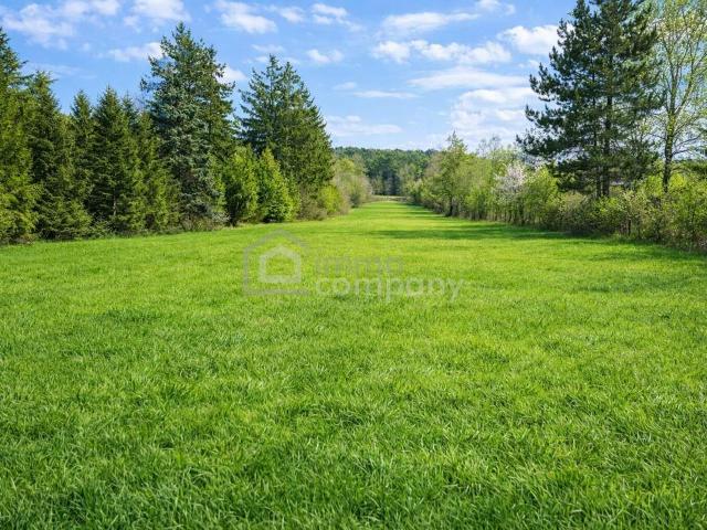 Grundstück kaufen in Bruck an der Leitha, Niederösterreich