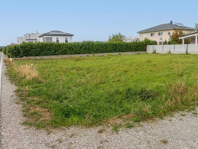 Grundstück kaufen in Bruck an der Leitha, Bezirk Bruck an der Leitha