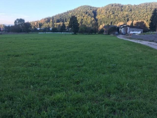 Grundstück kaufen in Griffen, Kärnten