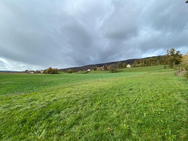 Immobilie kaufen in Delémont, Jura