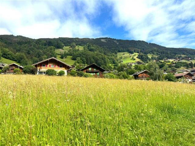 Grundstück kaufen in Val-d'Illiez, Wallis