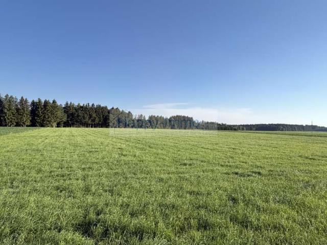 Erdgeschosswohnung kaufen in Otterfing, Landkreis Miesbach