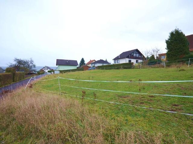 Erdgeschosswohnung kaufen in Grebenau, Hessen