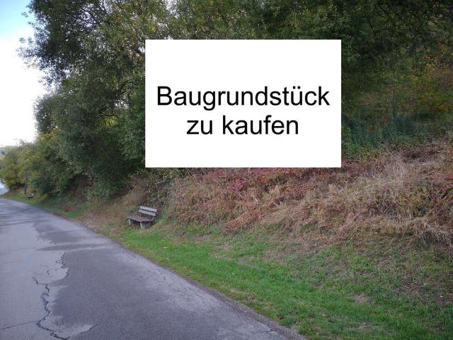 Erdgeschosswohnung kaufen in Schönecken, Rheinland-Pfalz