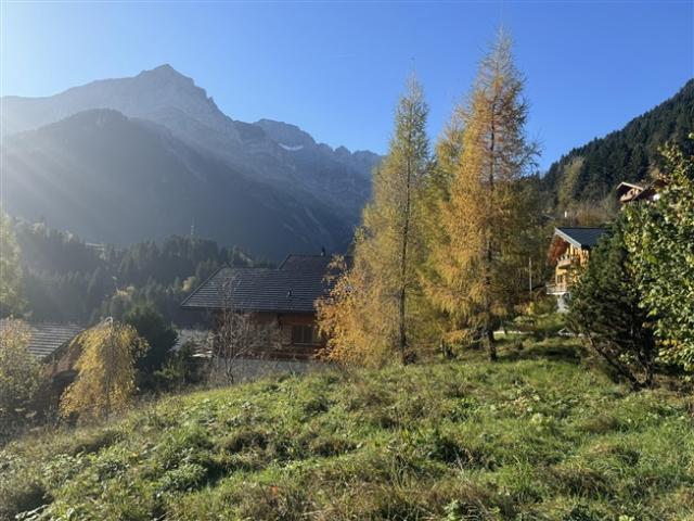 Grundstück kaufen in Champéry, Wallis