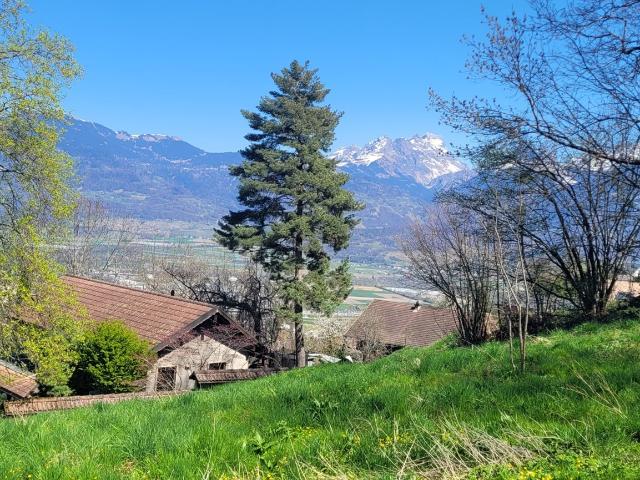 Immobilie kaufen in Monthey, Wallis