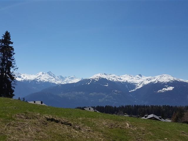 Grundstück kaufen in Crans-Montana, Wallis