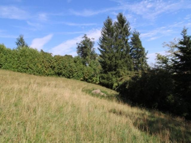 Grundstück kaufen in Wolfsegg am Hausruck, Oberösterreich
